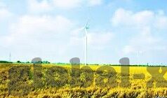 2021国产麻豆剧传媒在线-2021年国产麻豆剧传媒的在线热潮及其社会影响