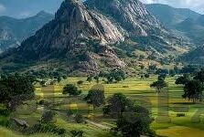 麻豆视频.com-麻豆视频，网络环境下的视觉盛宴与内容消费新趋势