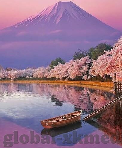 麻豆视频精品在线-深度探索与真实呈现