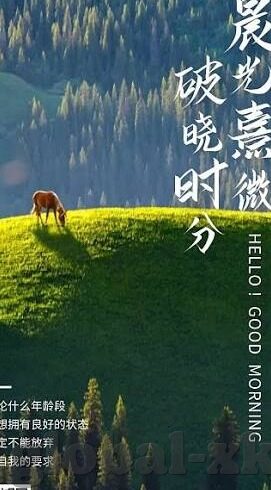 三级伦理电免费观l看-伦理的边界，三级伦理电影的观看与反思