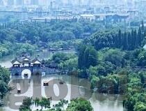 糖心官网app-糖心官网app，数字时代的便捷生活新入口