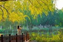 糖心vlogapp官网入口-糖心vlogapp，记录生活，玩转精彩