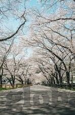 纤纤影视 一区 二区-纤纤影视，一区二区的多元娱乐新体验